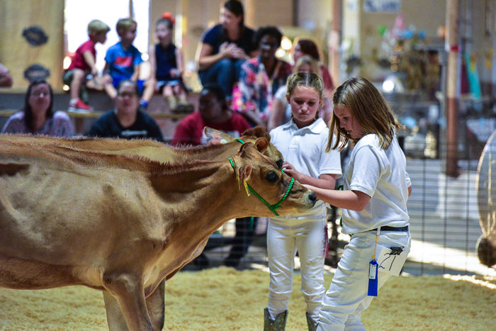 Orangeburg County Fair Dairy Show